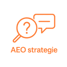 AEO Strategy Icons in Orange